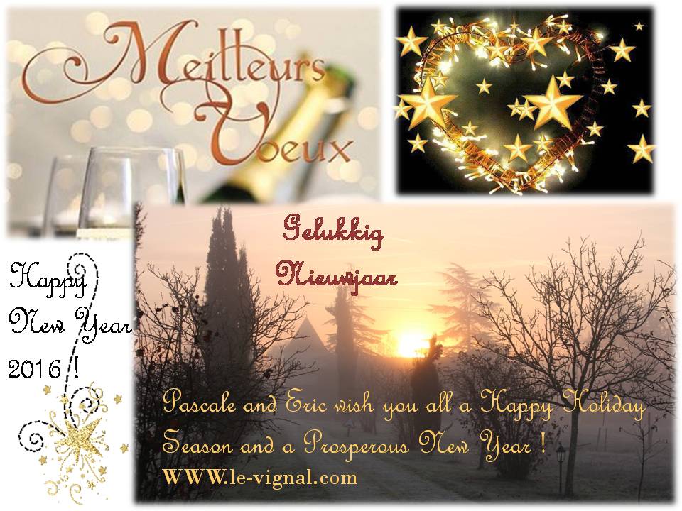 voeux 2016 gite vignal natuur kinderen bed & breakfast chambre d’hotes Piscine Zembad Jardin gite Charme vacances Monflanquin périgord dordogne sud france