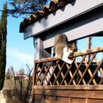 IMG_20230211_140208
